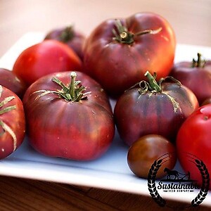 Tomato Cherokee Purple